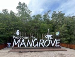 Mangrove Tanjung Batu Disiapkan Jadi Wajah Ekowisata Pesisir Jelang Lebaran 2026