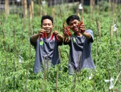 Sutami Minta Pertanian Jadi Fokus Utama Pembangunan 2026 di Berau