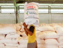 Sutami Dorong Pemanfaatan Pupuk Lokal untuk Tingkatkan Produktivitas Pertanian