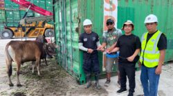 Disaat Rupiah Anjlok PT PMB dan PT PASN Tetap Komitmen Qurban 81 Sapi dan 4 Kambing