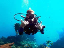 DPRD Dorong Sertifikasi Dive Master untuk BPBD Berau, Dinilai Penting Tingkatkan Keselamatan Operasi