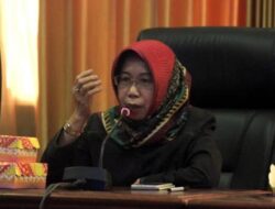 DPRD Dorong Penguatan Ekonomi Kreatif, Elita: Perlu Kebijakan Lebih Berani dan Terarah