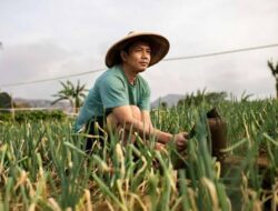 DPRD Berau Soroti Minimnya Regenerasi Petani Muda