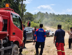 Gamalis Tinjau Karhutla Kampung Merasa, Minta Semua Pihak Siaga