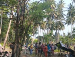 Hilang Sehari, Wisatawan Asal Jakarta Ditemukan Meninggal di Kebun Kelapa Maratua