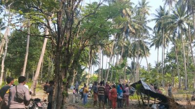 Hilang Sehari, Wisatawan Asal Jakarta Ditemukan Meninggal di Kebun Kelapa Maratua